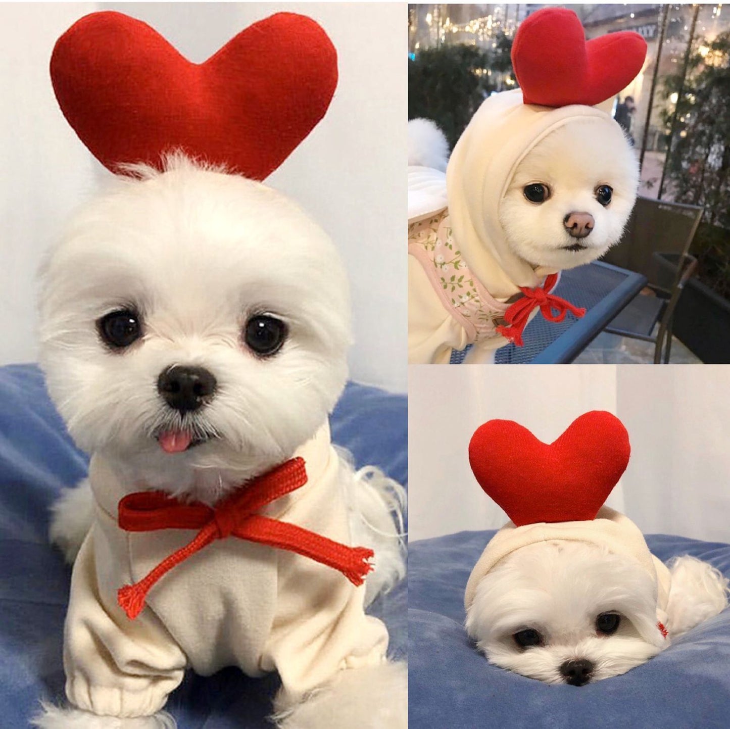 Cozy Autumn & Winter Fleece Sweatshirt for Small Dogs & Cats | Warm Pet Clothes for Teddy, Puppies & Kittens